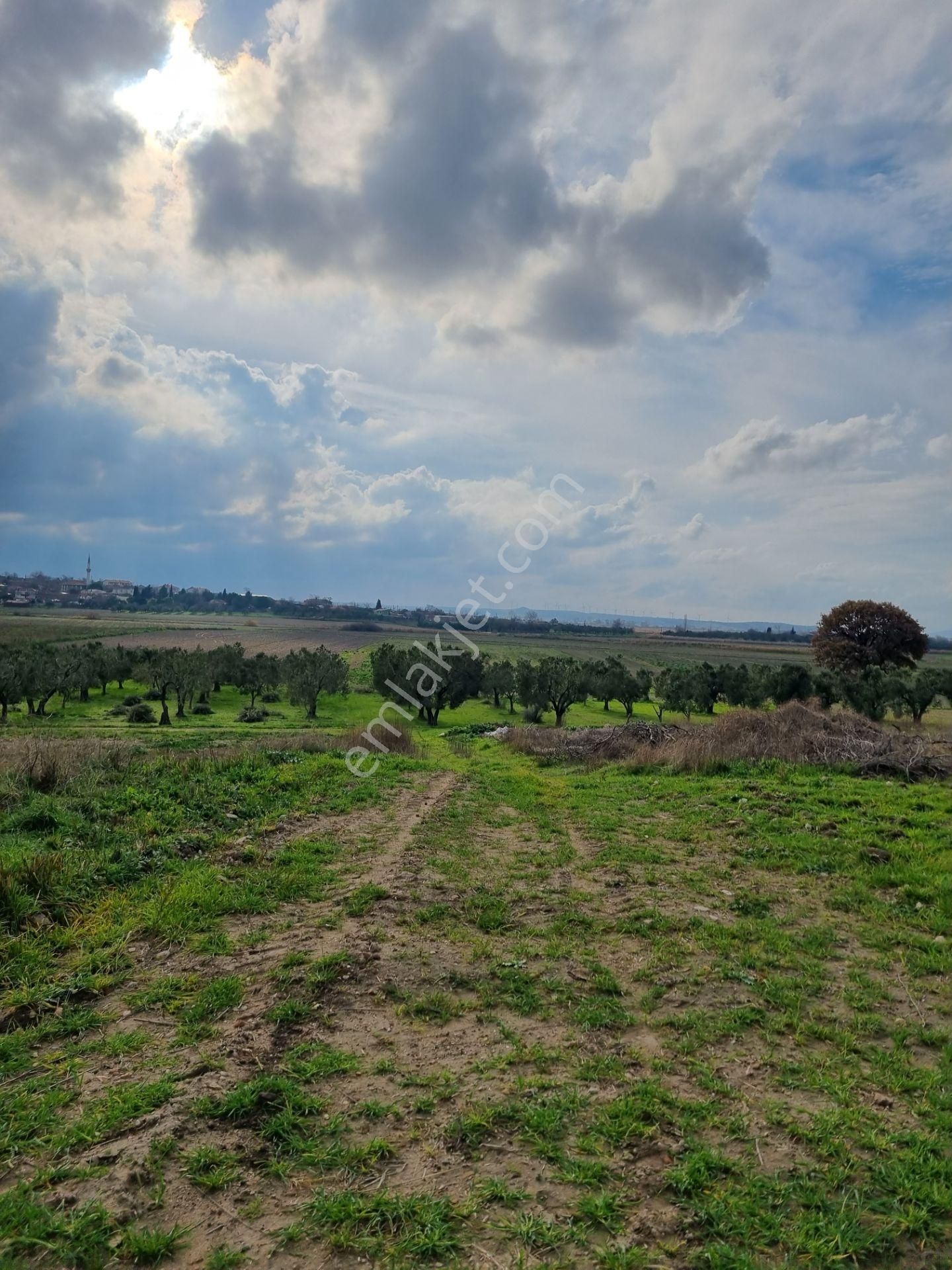 Çanakkale Han Emlak Otomotivden Tevfikiye Köyünde 6572 M2 Tarla - Görsel 8