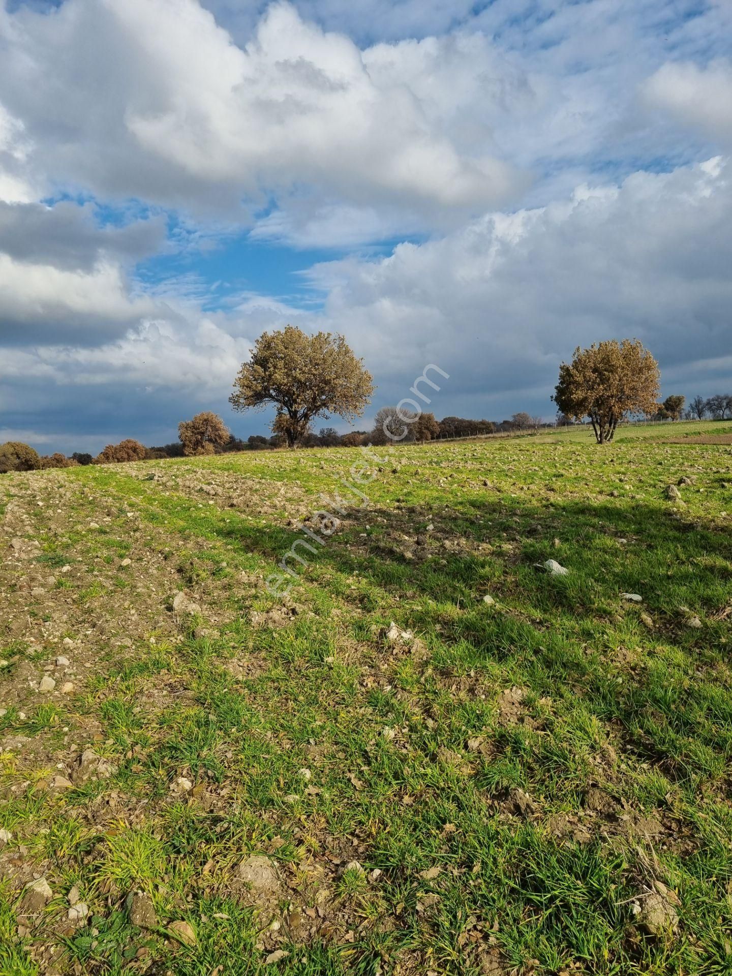 Çanakkale Han Emlak Otomotivden Tevfikiye Köyünde 6572 M2 Tarla - Görsel 17