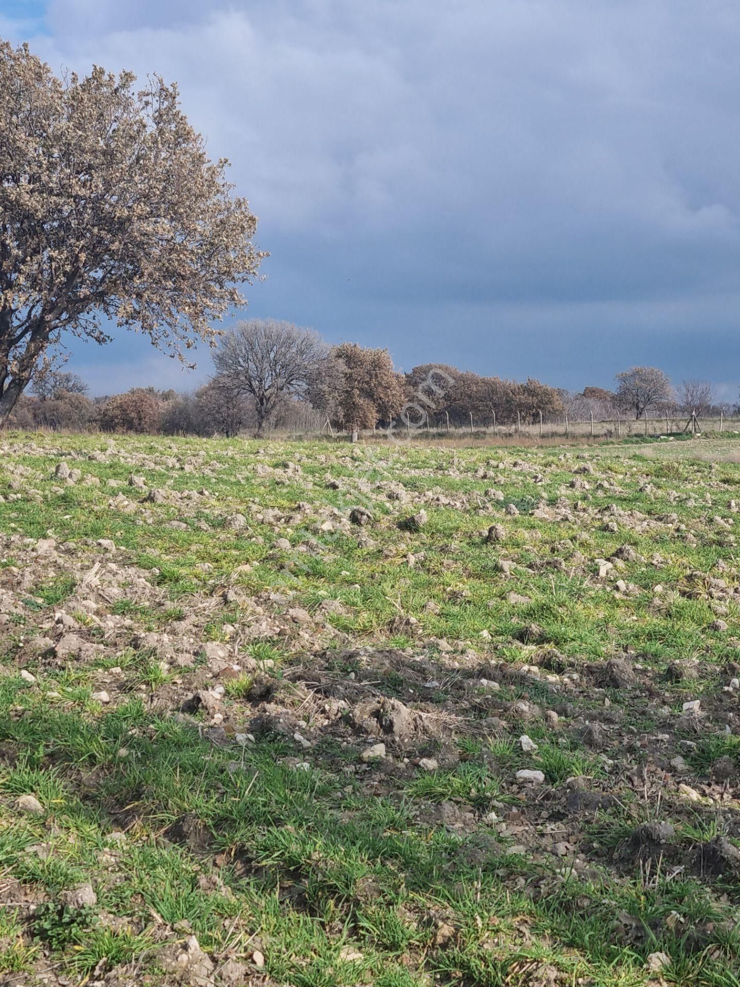 Çanakkale Han Emlak Otomotivden Tevfikiye Köyünde 6572 M2 Tarla - Görsel 22
