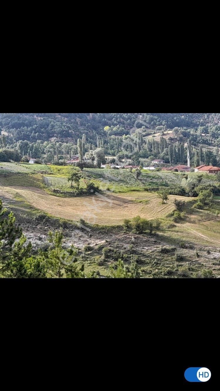 Göynük Yukarıkınık Köyü (Merkez) Satılık Tarla Sahibinden