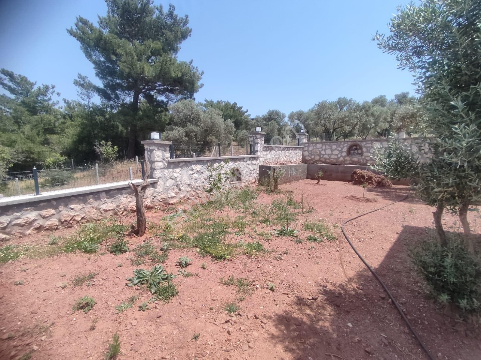 İzmir Buca Belenbaşında Köye Yakın 505 M2 Arsa İçerisinde Numaratajı Alınmış Köy Evi - Görsel 21