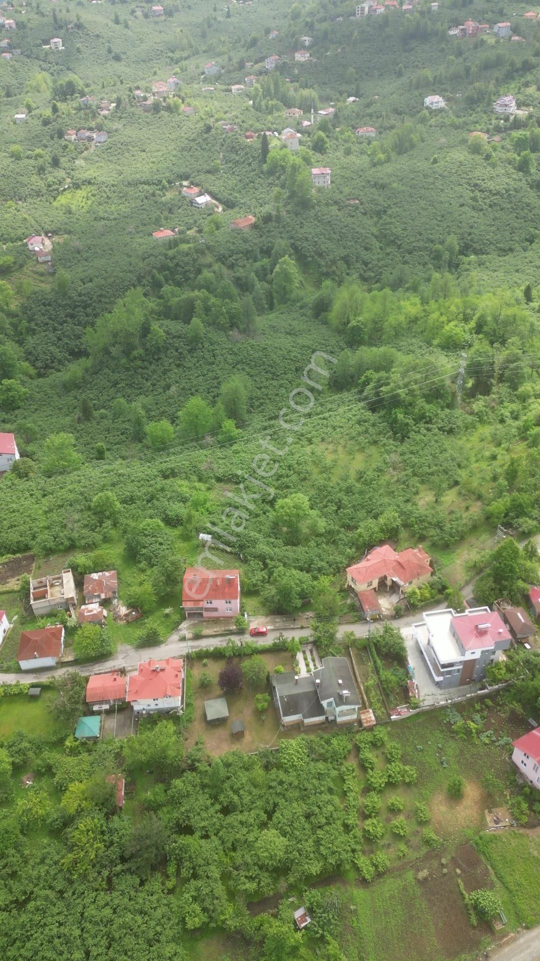 Giresun Merkez Kayadibi Satılık Konut İmarlı  DELTA GAYRİMENKUL'DEN KAYADİBİN'DE SATILIK ARSA!