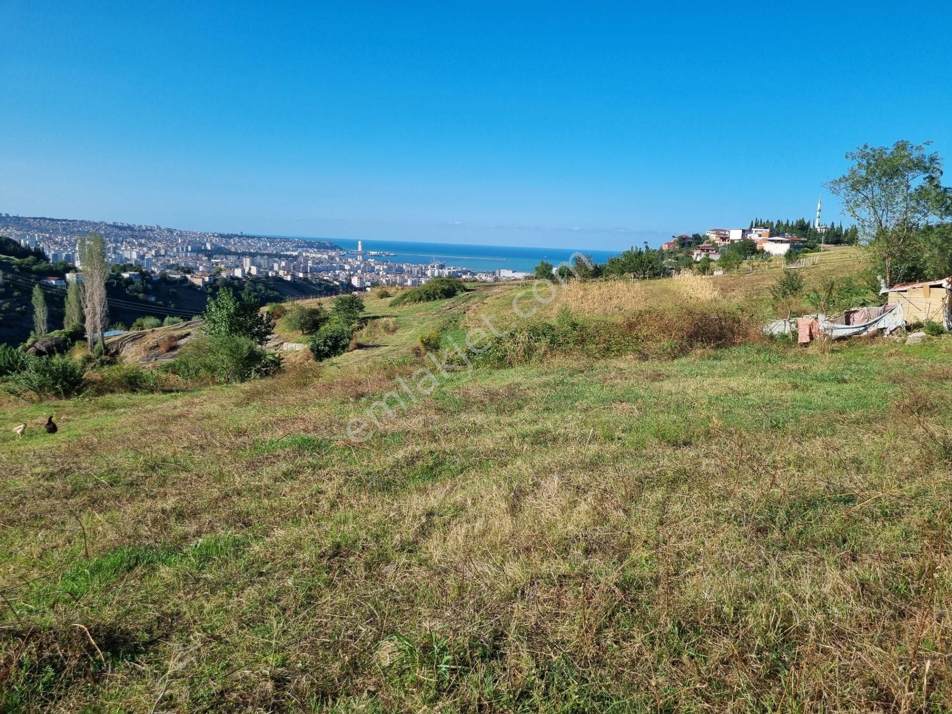 Canik Teknepınar Satılık Konut İmarlı  SAMSUN CANİK'DE 742 m2 SATILIK 1,40 EMSAL İMARLI ARSA AKGÜN KURUMSAL'DAN