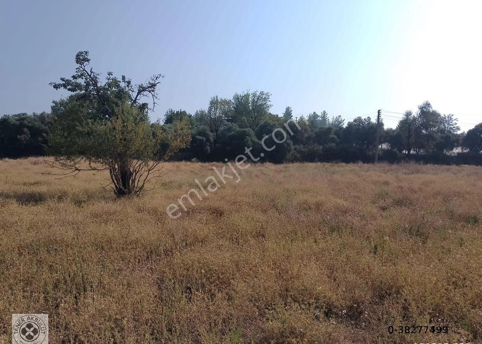 Bayır'da 2 Parsel Toplam 662 M² İmarlı Arsa - Görsel 6