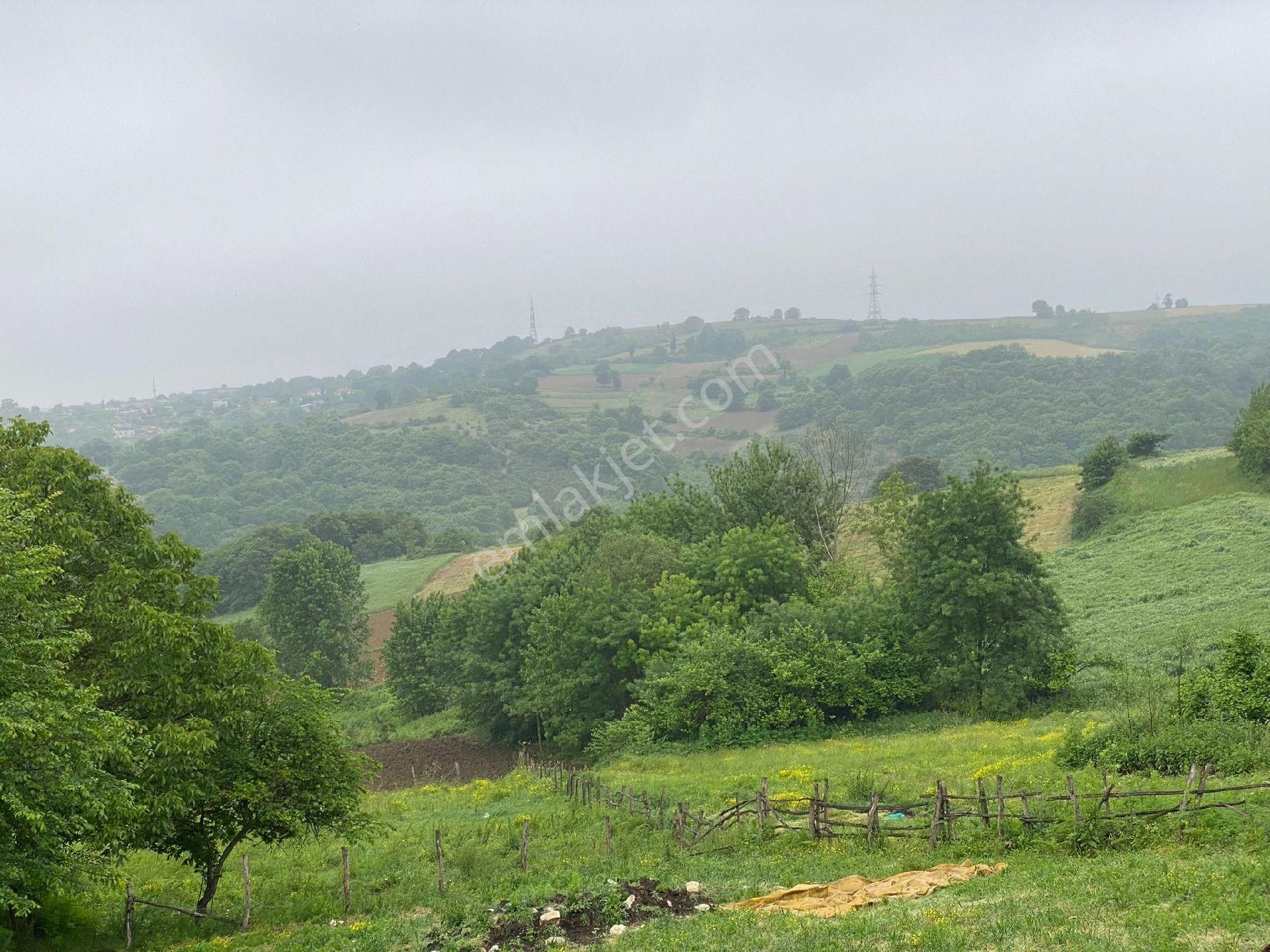 Kaynarca Eğrioğlu Satılık Konut İmarlı SAKARYA KAYNARCA EĞRİOĞLU SATILIK İMARLI ARSA