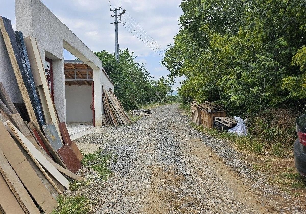Satlik Zeytin Bahçesi Geyve Eşmede - Görsel 26