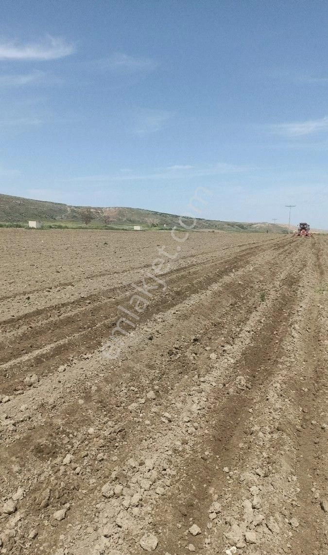 Yunak Kıllar Satılık Tarla Konya'da sulu tarım arazisi