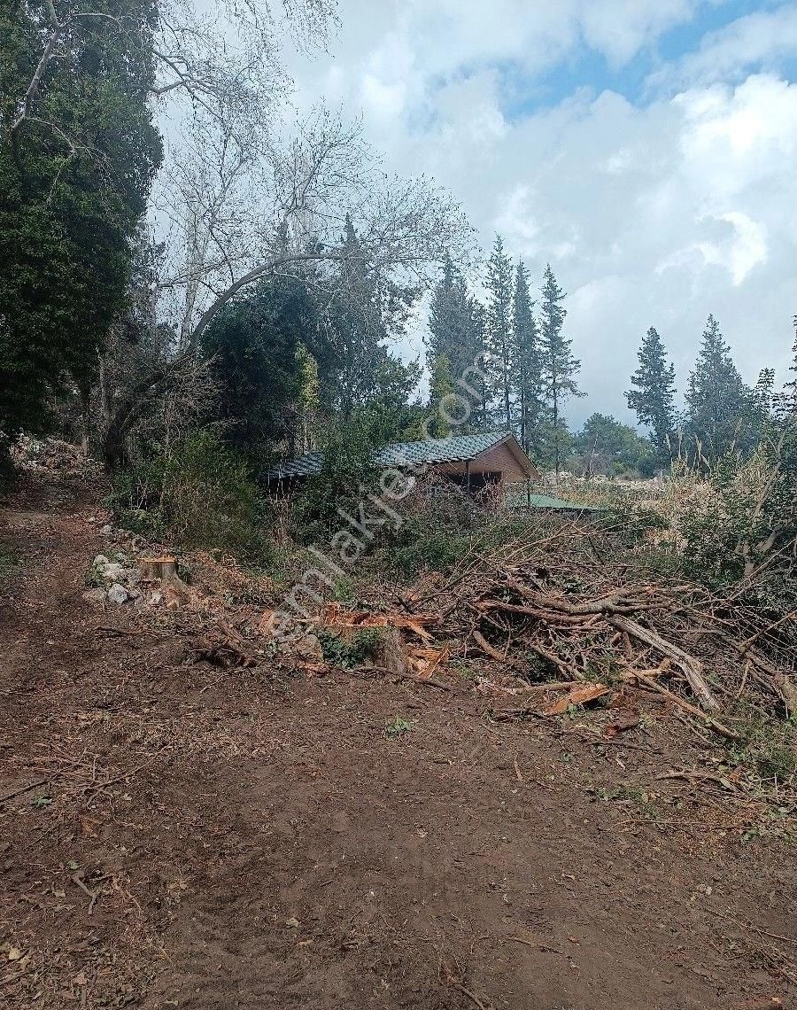 Çıralı Da Hotel Villa Kamping Arsası - Görsel 18