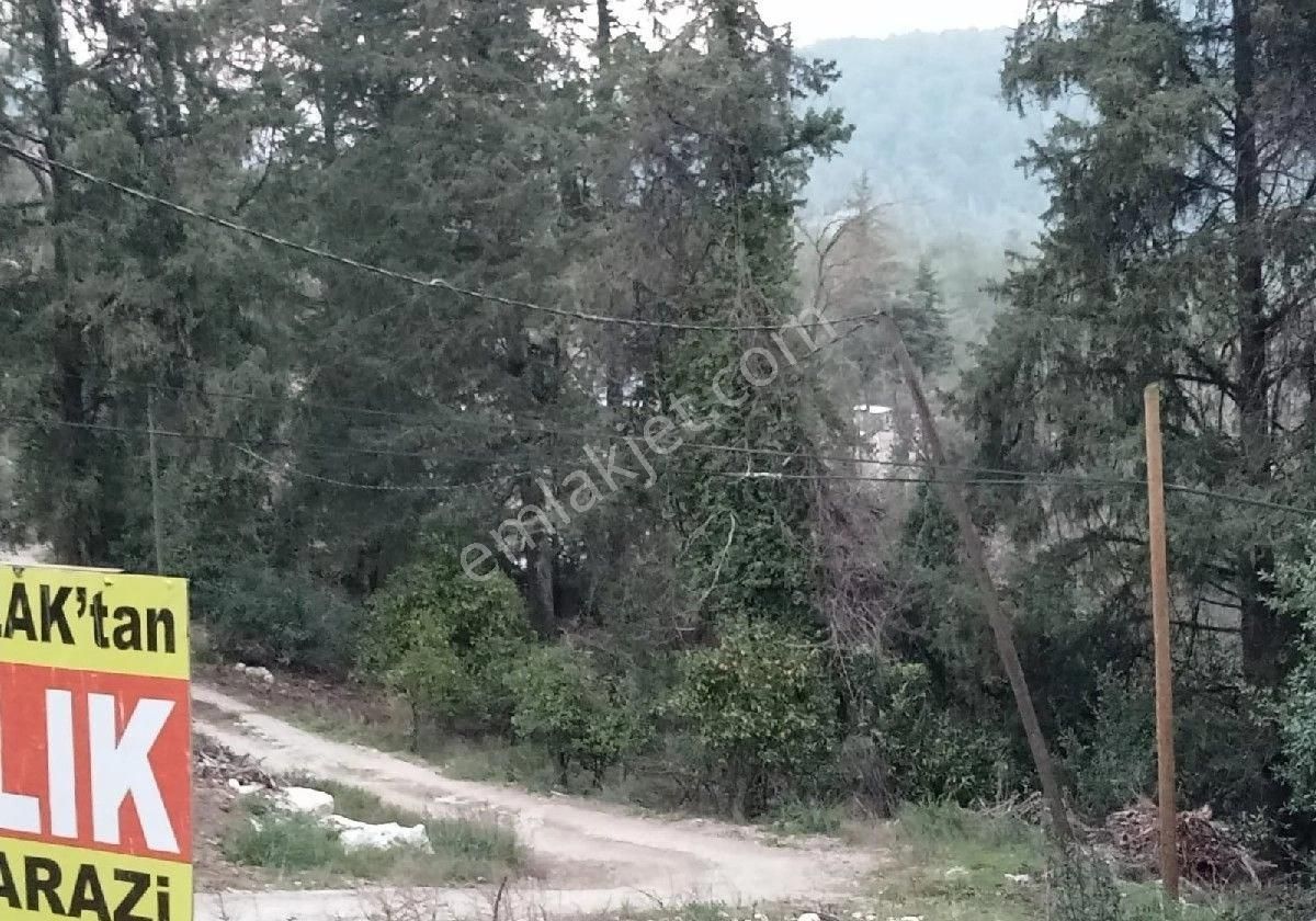 Çıralı Da Hotel Villa Kamping Arsası - Görsel 26