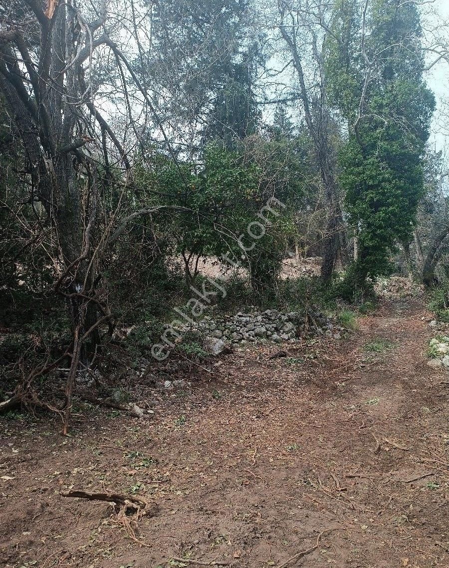 Çıralı Da Hotel Villa Kamping Arsası - Görsel 19