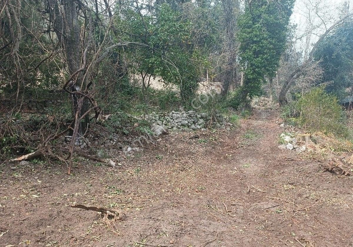 Çıralı Da Hotel Villa Kamping Arsası - Görsel 21