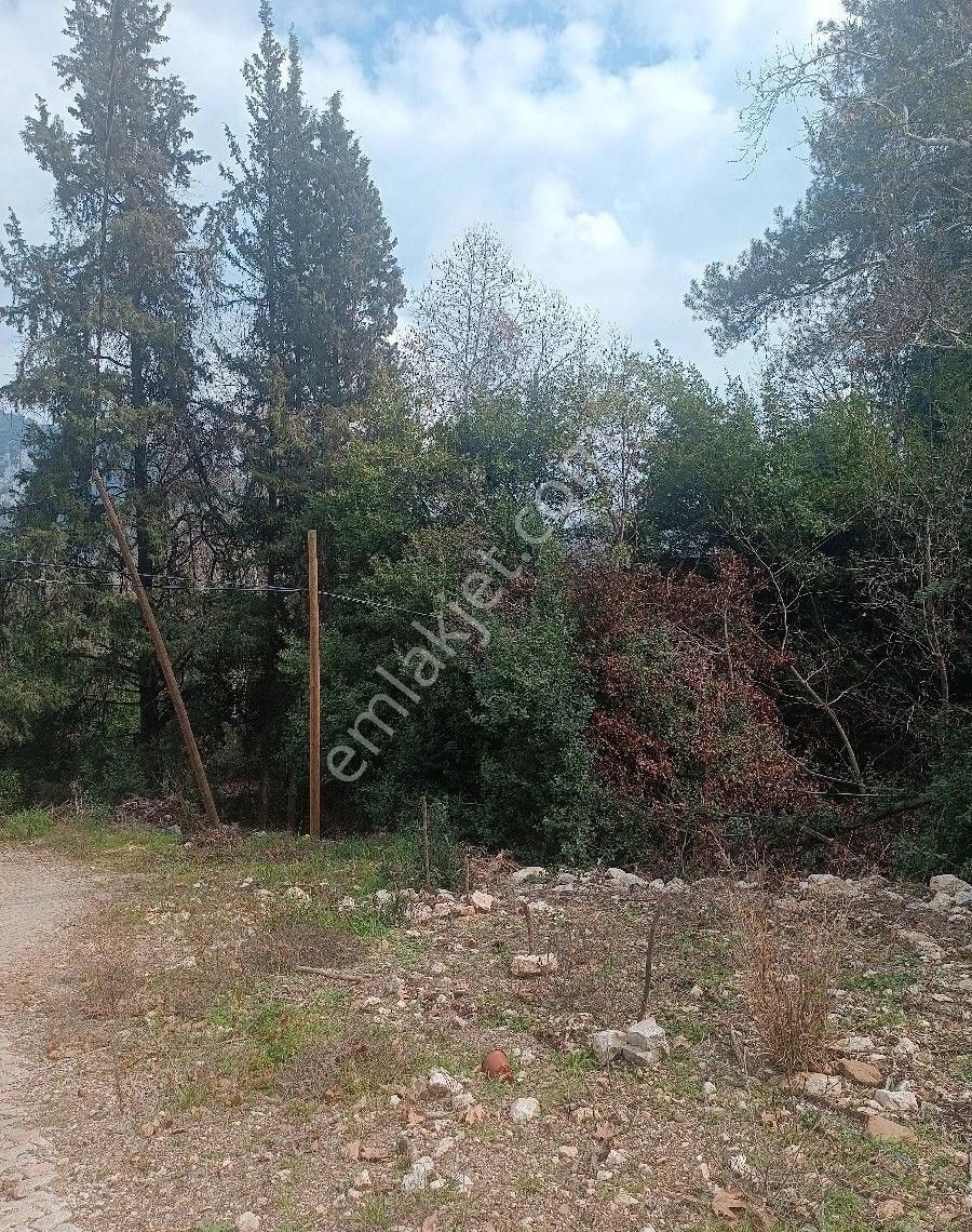 Çıralı Da Hotel Villa Kamping Arsası - Görsel 9