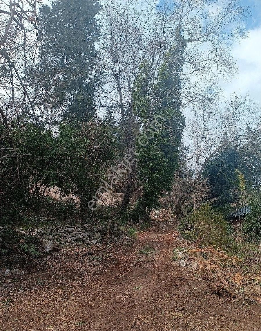 Çıralı Da Hotel Villa Kamping Arsası - Görsel 15