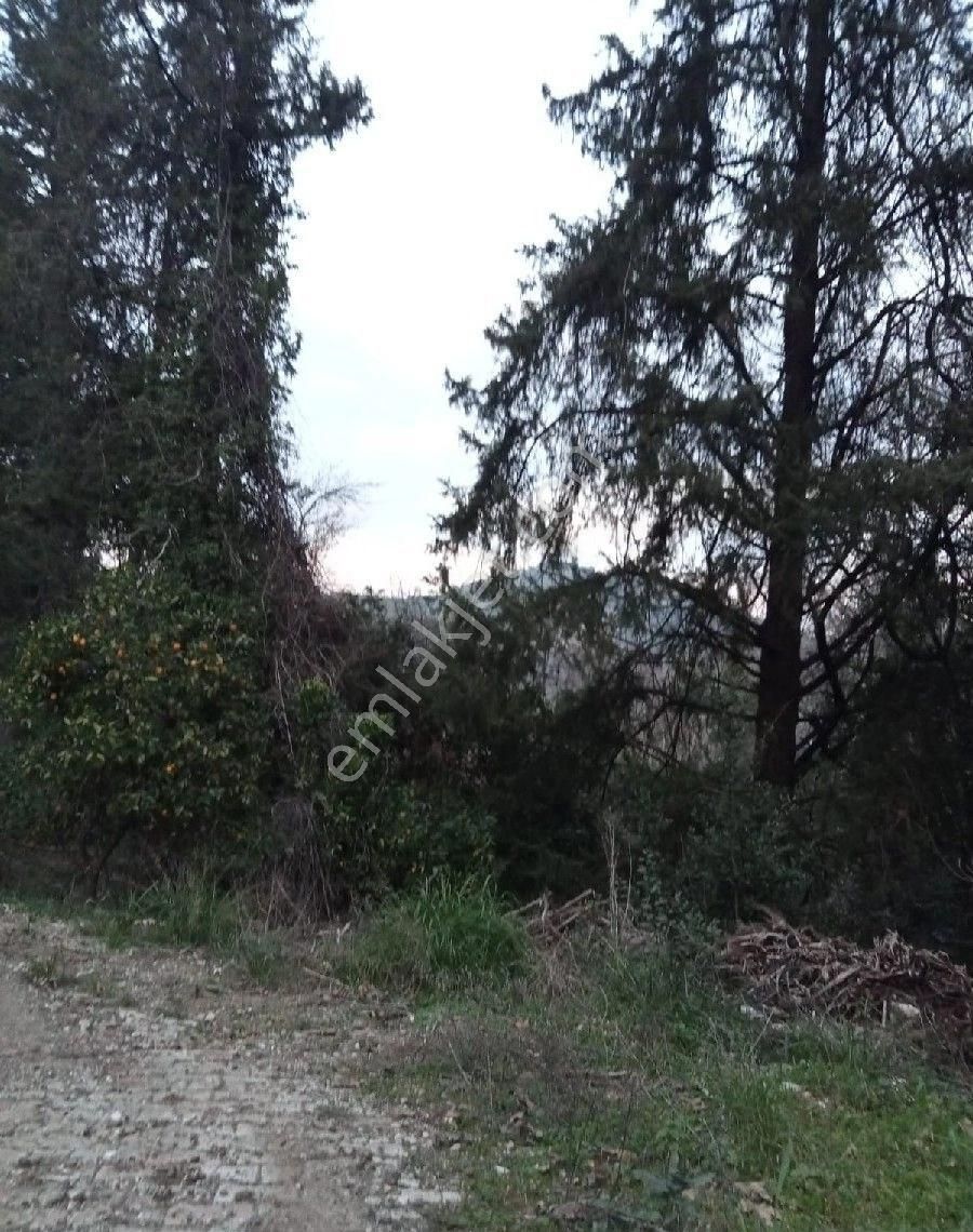 Çıralı Da Hotel Villa Kamping Arsası - Görsel 27