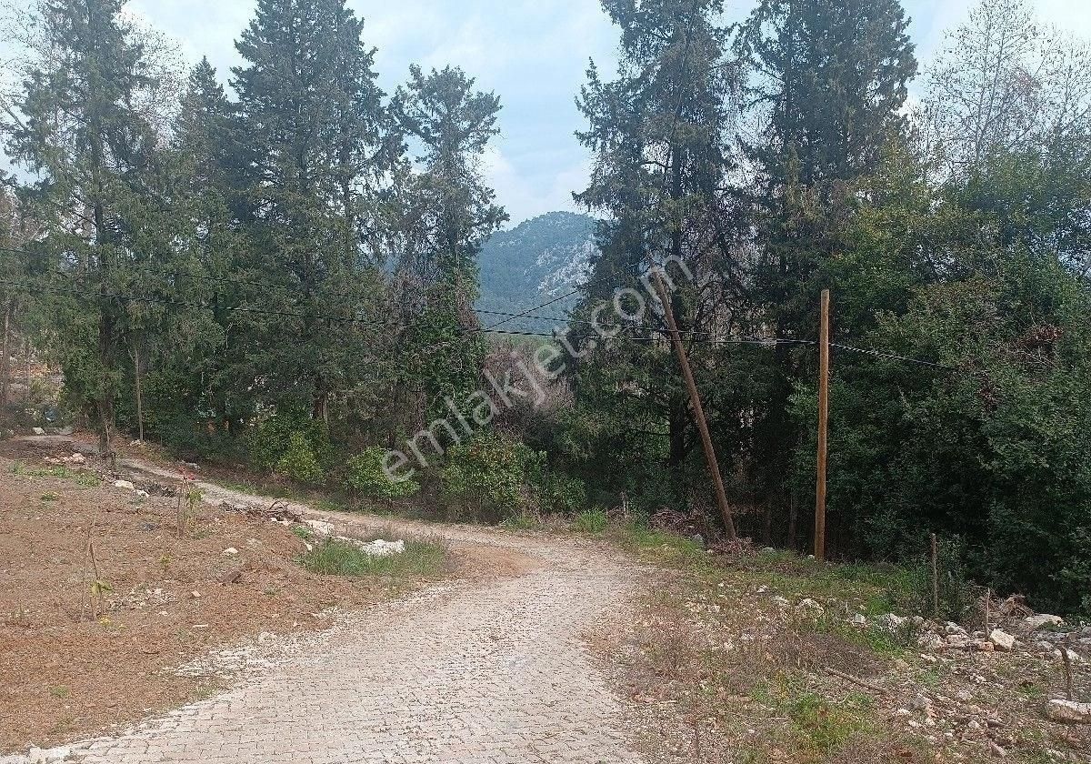 Çıralı Da Hotel Villa Kamping Arsası - Görsel 16