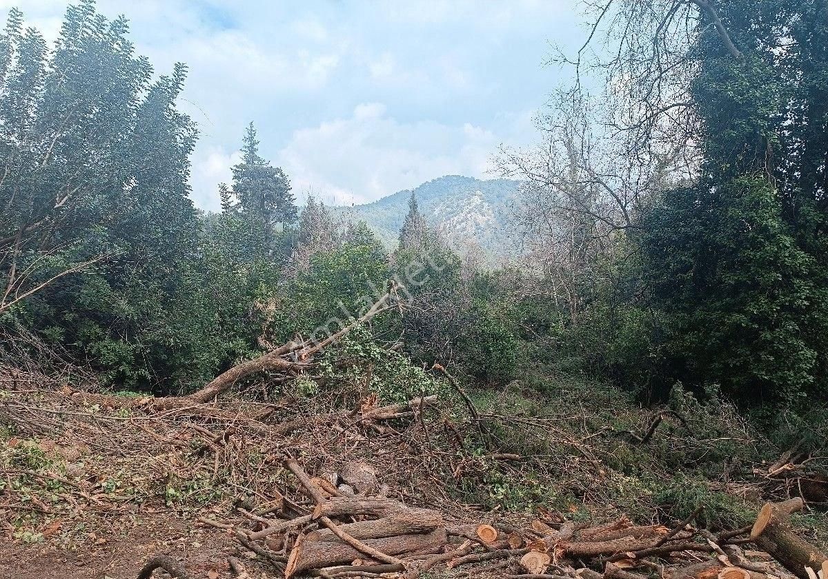 Çıralı Da Hotel Villa Kamping Arsası - Görsel 34