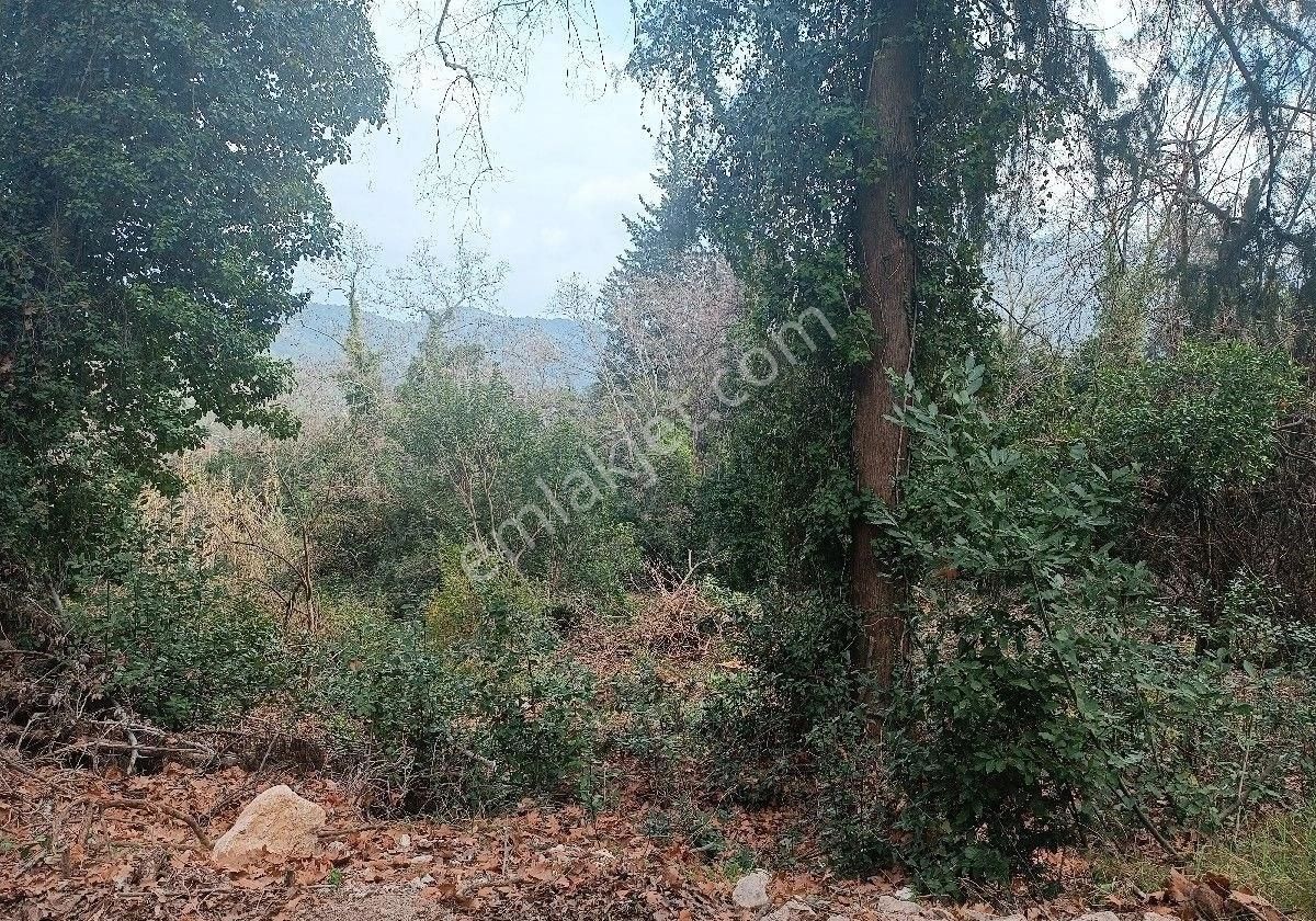 Çıralı Da Hotel Villa Kamping Arsası - Görsel 17