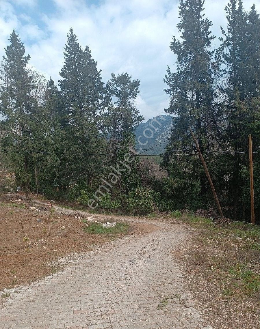 Çıralı Da Hotel Villa Kamping Arsası - Görsel 32