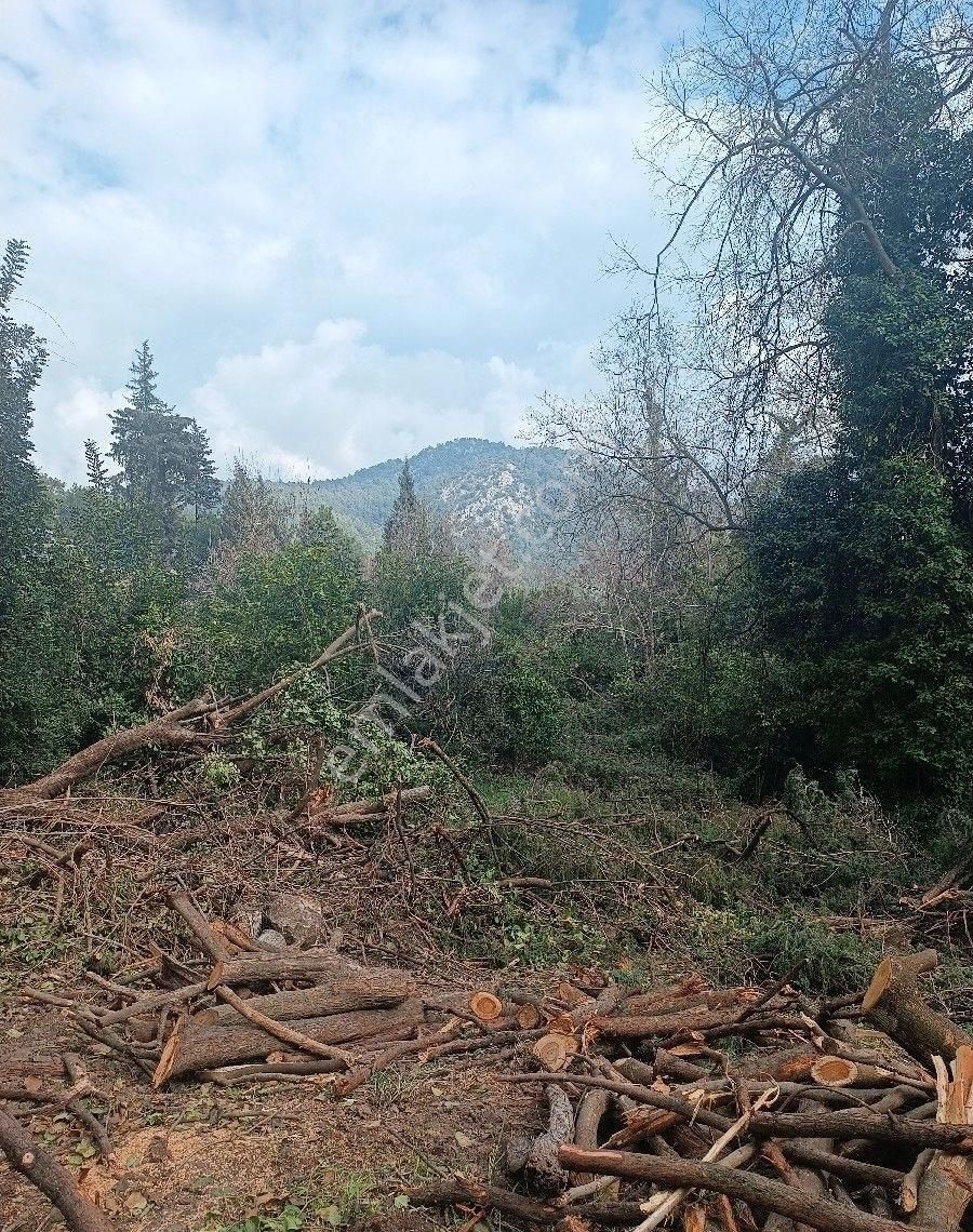 Çıralı Da Hotel Villa Kamping Arsası - Görsel 2