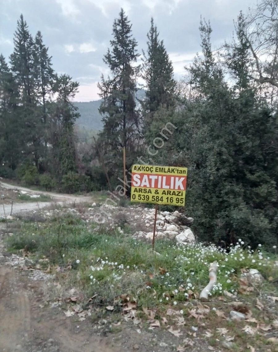 Çıralı Da Hotel Villa Kamping Arsası - Görsel 13