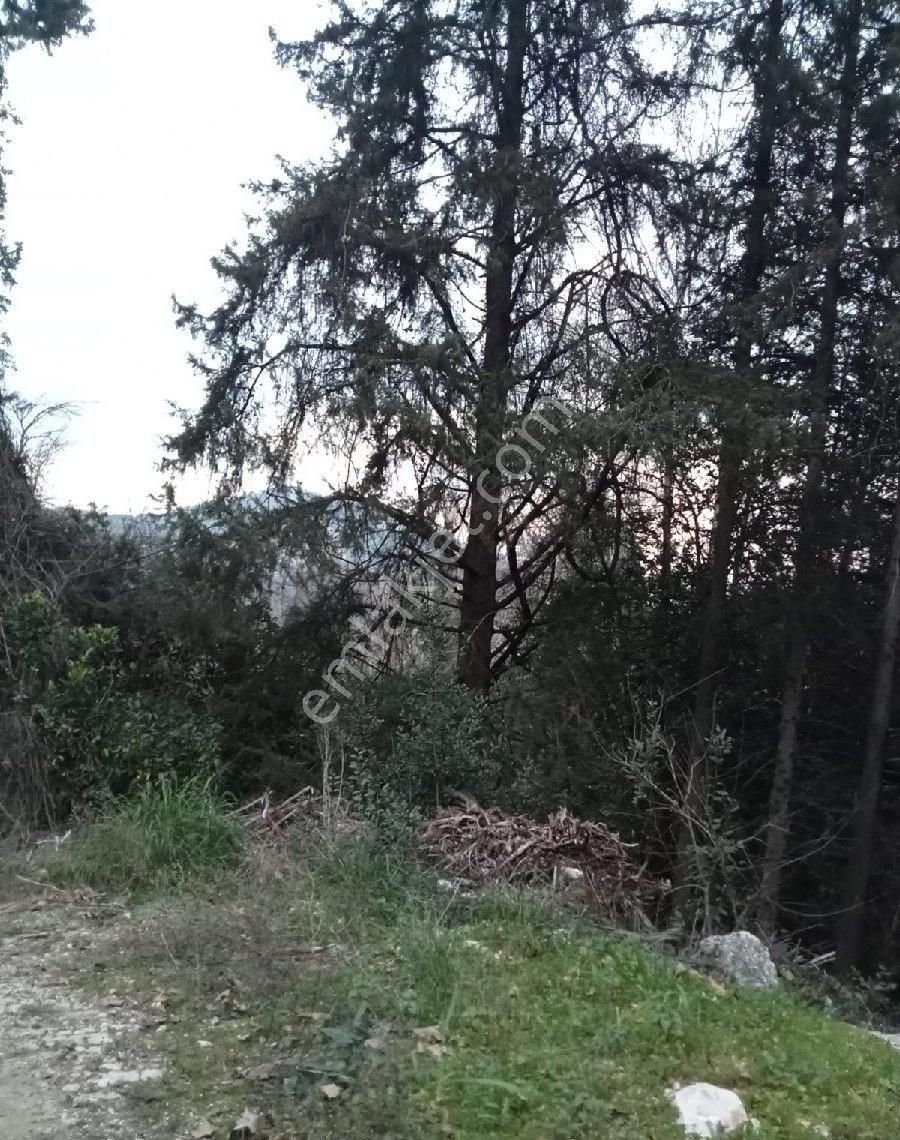 Çıralı Da Hotel Villa Kamping Arsası - Görsel 6