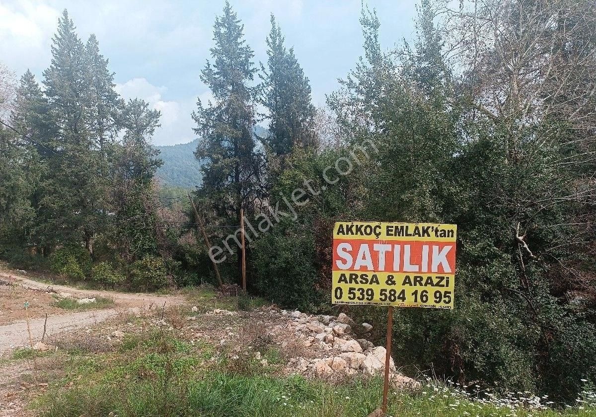 Çıralı Da Hotel Villa Kamping Arsası