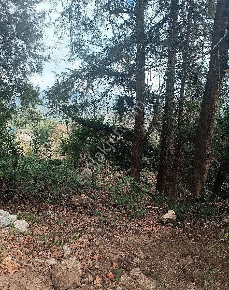 Çıralı Da Hotel Villa Kamping Arsası - Görsel 8