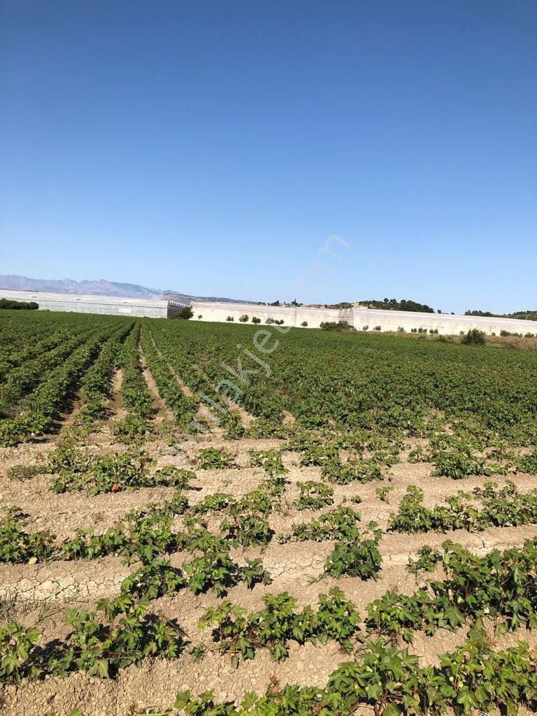 Antalya Manavgat Yolu Taşağıl Kavşağında Yatırımlık Arazi - Görsel 4