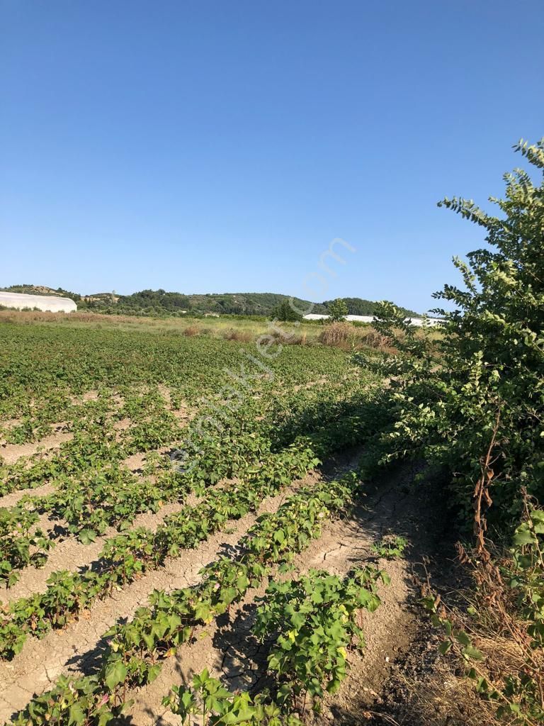 Antalya Manavgat Yolu Taşağıl Kavşağında Yatırımlık Arazi - Görsel 6