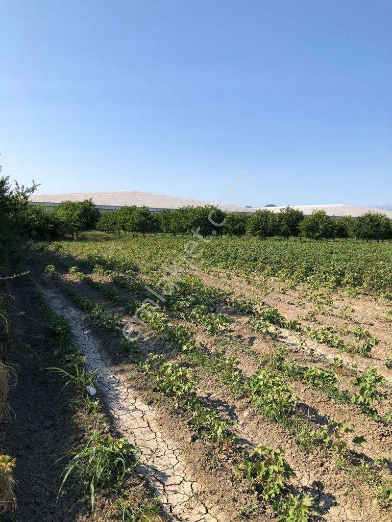 Antalya Manavgat Yolu Taşağıl Kavşağında Yatırımlık Arazi - Görsel 3