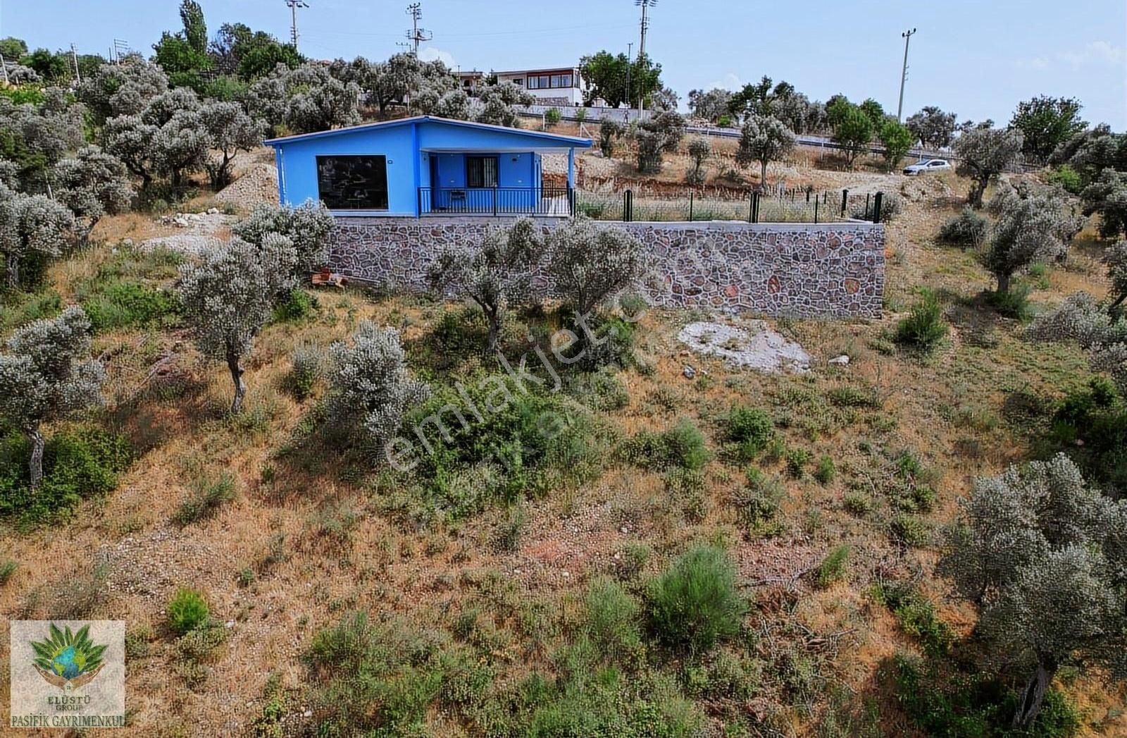 Buca Doğancılar Satılık Zeytinlik PASİFİK'TEN BUCA DOĞANCILARDA SIFIR EVİ OLAN 10.000 m² ARAZİ