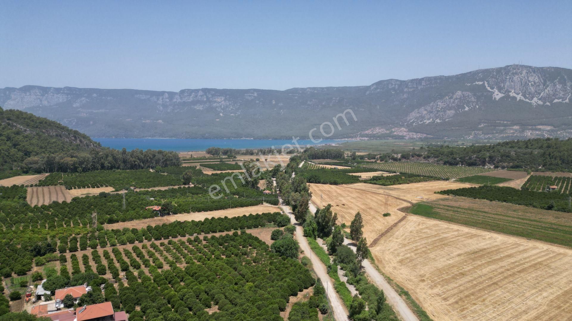 Ula Gökçe Satılık Tarla  Muğla Ula Gökçe Köyünde Satılık 5.200 M2 İçinde Evi Olan Arazi