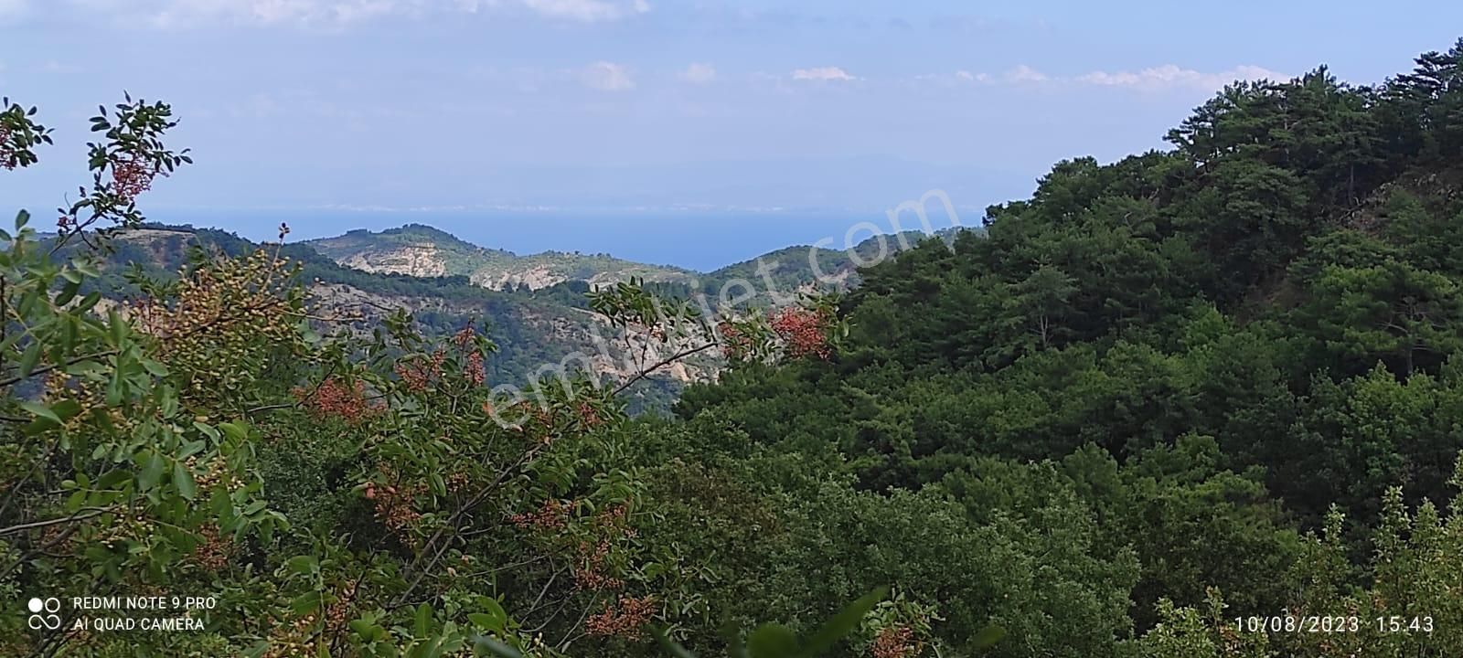 Ayvacık Ahmetçe Köyü (Ahmetçe Mücavir) Satılık Tarla  AYVACIK AHMETÇE KÖYÜ EKO TURİZM MÜRACATLI 24 DÖNÜM ARAZİ