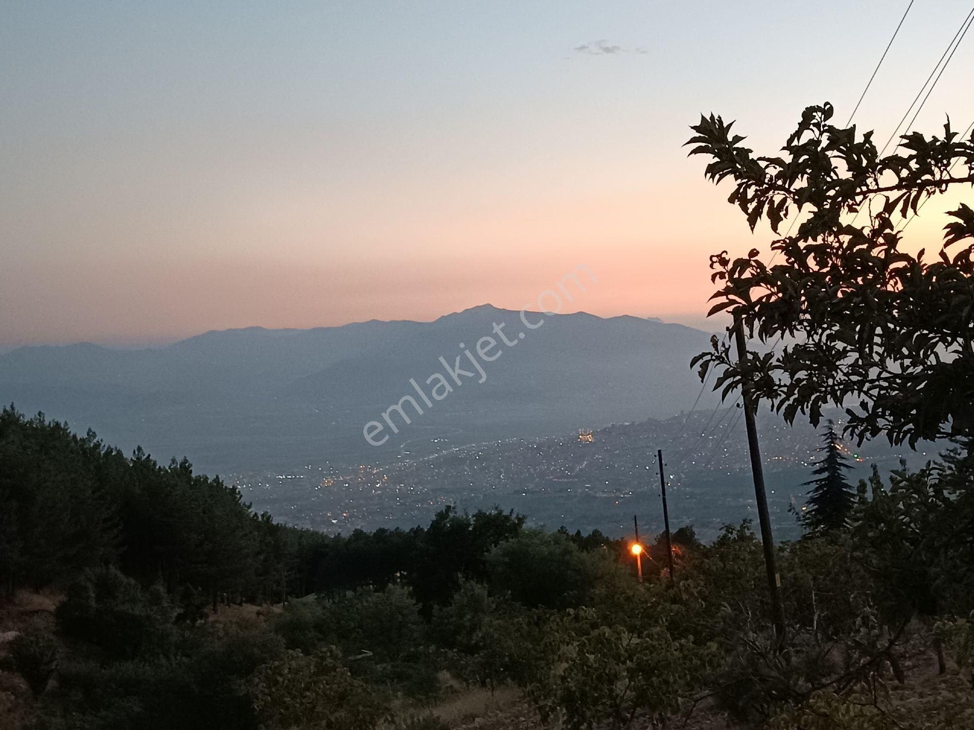 Dulkadiroğlu Göllü Satılık Tarla Sahibinden Şehir Manzaralı Asfalt Kenarı Bağ