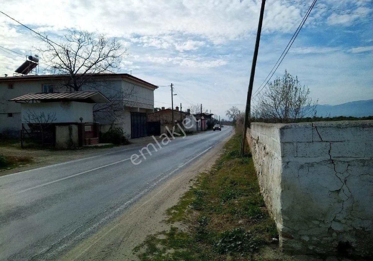 Yenipazar Direcik Satılık Bağ & Bahçe Karakuyu emlaktan satılık müstakil bahce