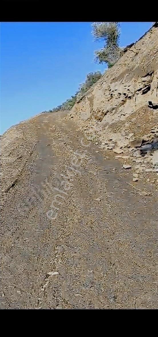 Bayındır Arıkbaşı Satılık Zeytinlik - Görsel 3