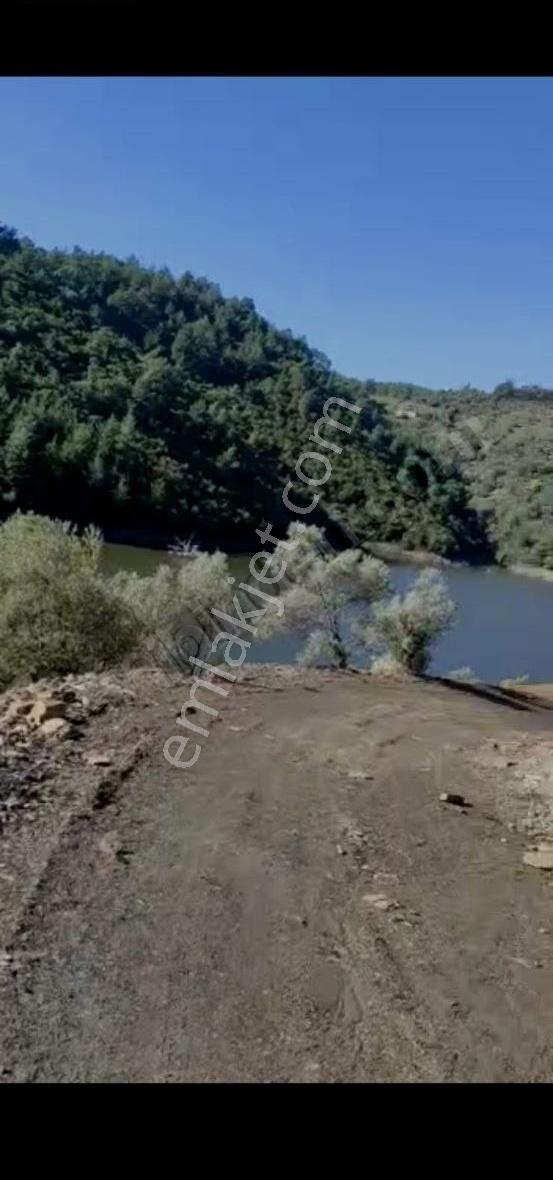 Bayındır Arıkbaşı Satılık Zeytinlik - Görsel 7