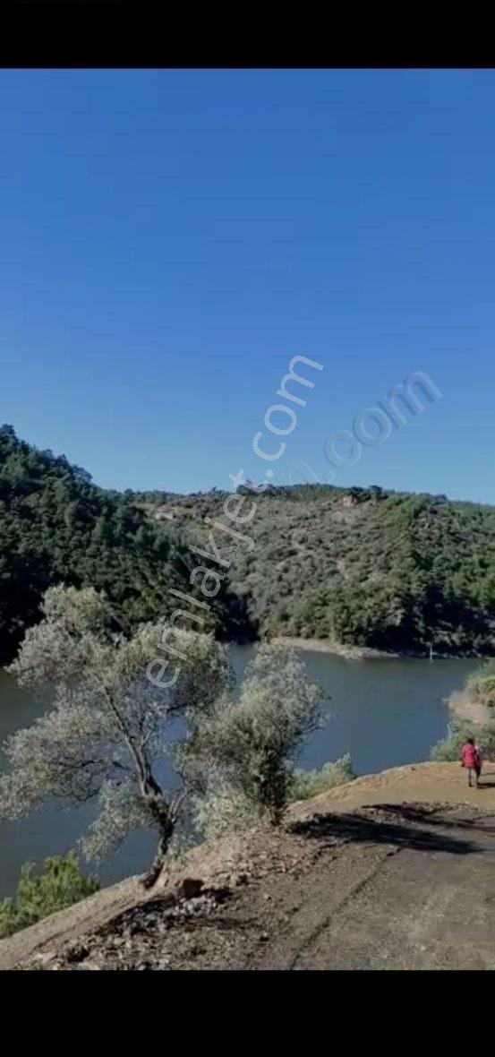 Bayındır Arıkbaşı Satılık Zeytinlik - Görsel 5