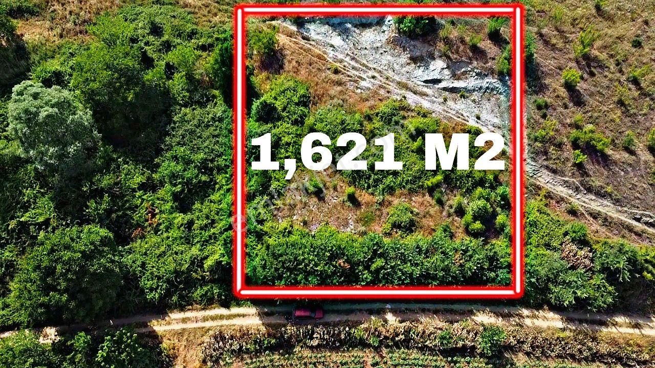 Yenişehir Günece Satılık Tarla Yenişehir Günece'de İlçeye Yakın 1,620 M2 Hobı Bahçesi