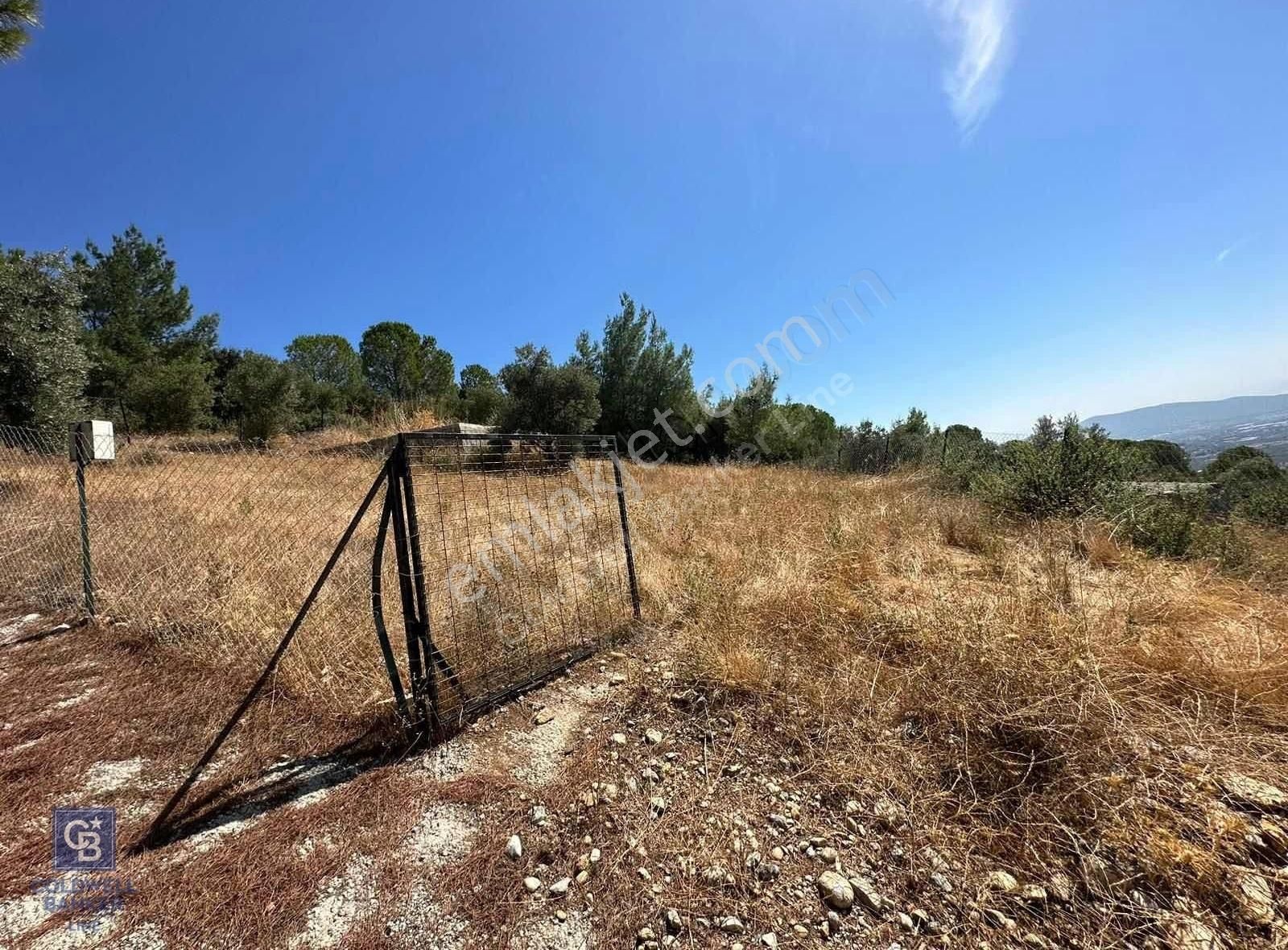 Torbalı Saipler Satılık Tarla Torbalı Saipler İbicik Tepesinde 208M2 Zeytinli Bağ Bahçe