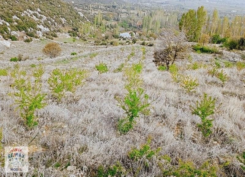 Seydikemer Temel Satılık Tarla Muğla Seydikemer Temel Köyü 28 Dönüm Elektrik Su Yolu Olan Tarla