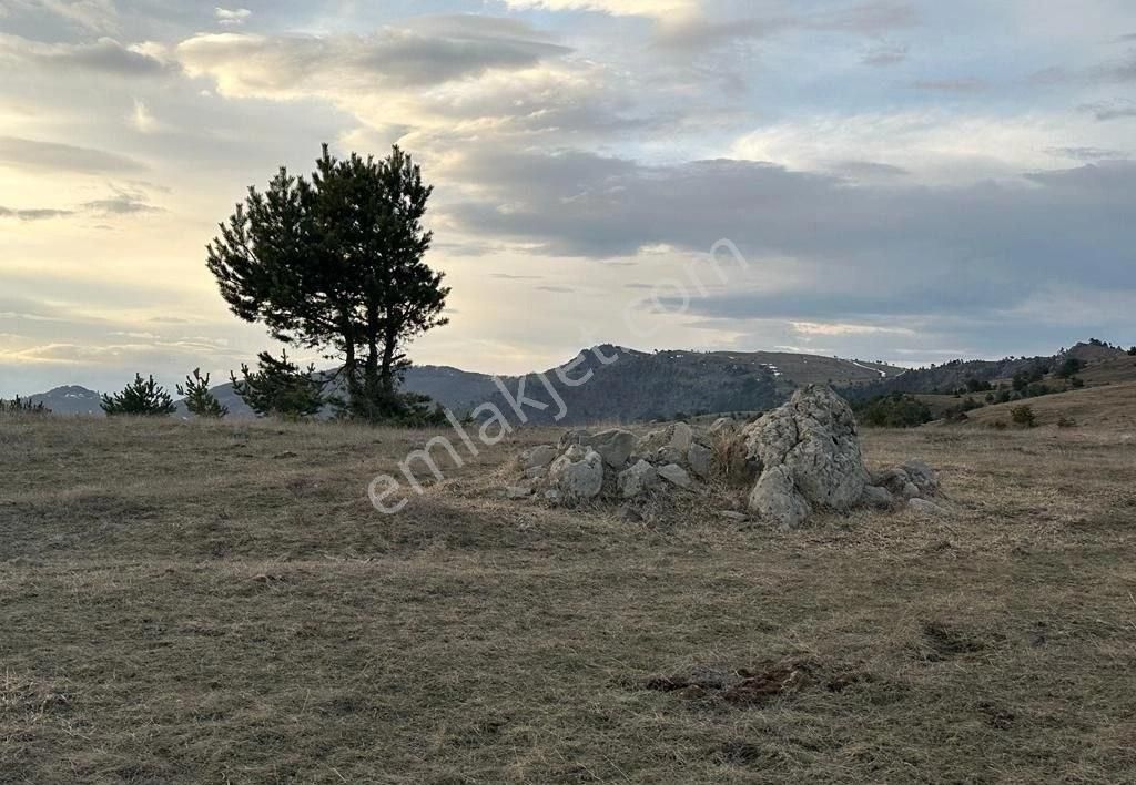 Niksar Serenli Bld. (Gazi Osman Paşa) Satılık Konut İmarlı TOMRİS HATUN GAYRİMENKUL EMLAKTAN KAÇIRILMAYACAK KUPON ARSA