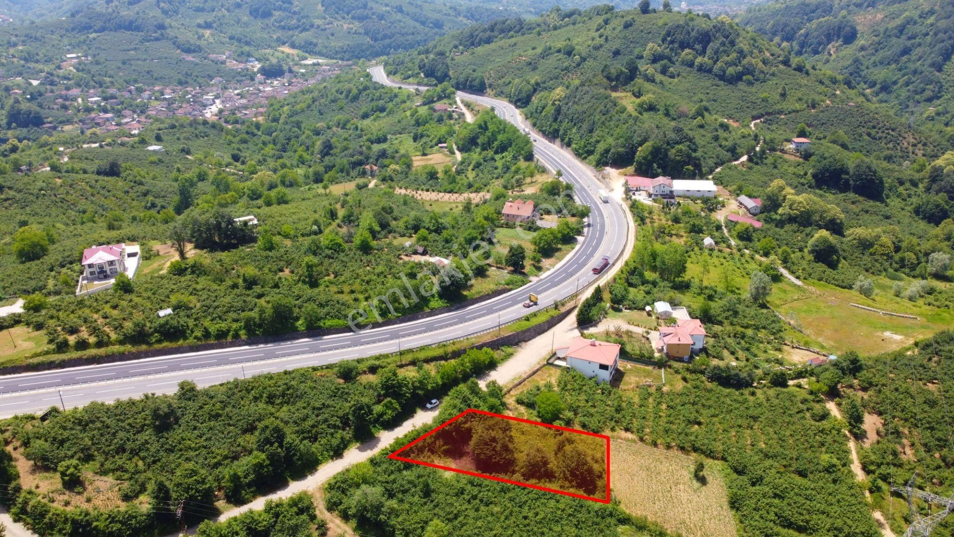 Düzce Merkez Boğaziçi Bld. (Dokuzpınar) Satılık Tarla  DOKUZPINAR KÖYÜ'NDE AKÇAKOCA YOLUNA CEPHE 1.059 M2 SATILIK TARLA