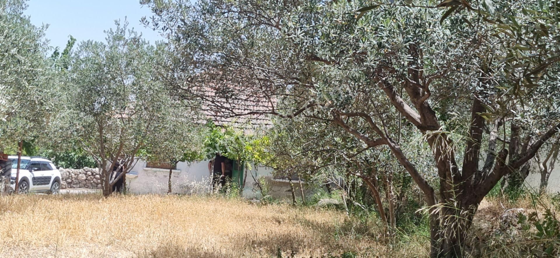 Aydın Nazilli Yöntem Emlaktan Kuyucak Azizabat Mahallesinde Satılık Müstakil Ev - Görsel 10