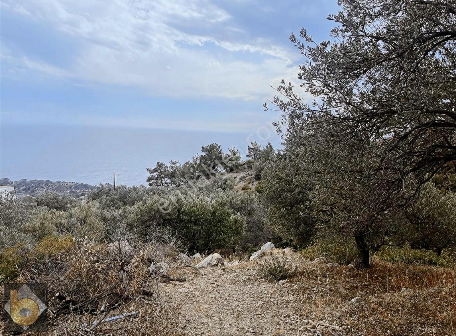 Kaş Gelemiş Satılık Tarla ANTALYA KAŞ GELEMİŞTE 1655m2 DENİZ MANZARALI MUSTAKİL TAPULU