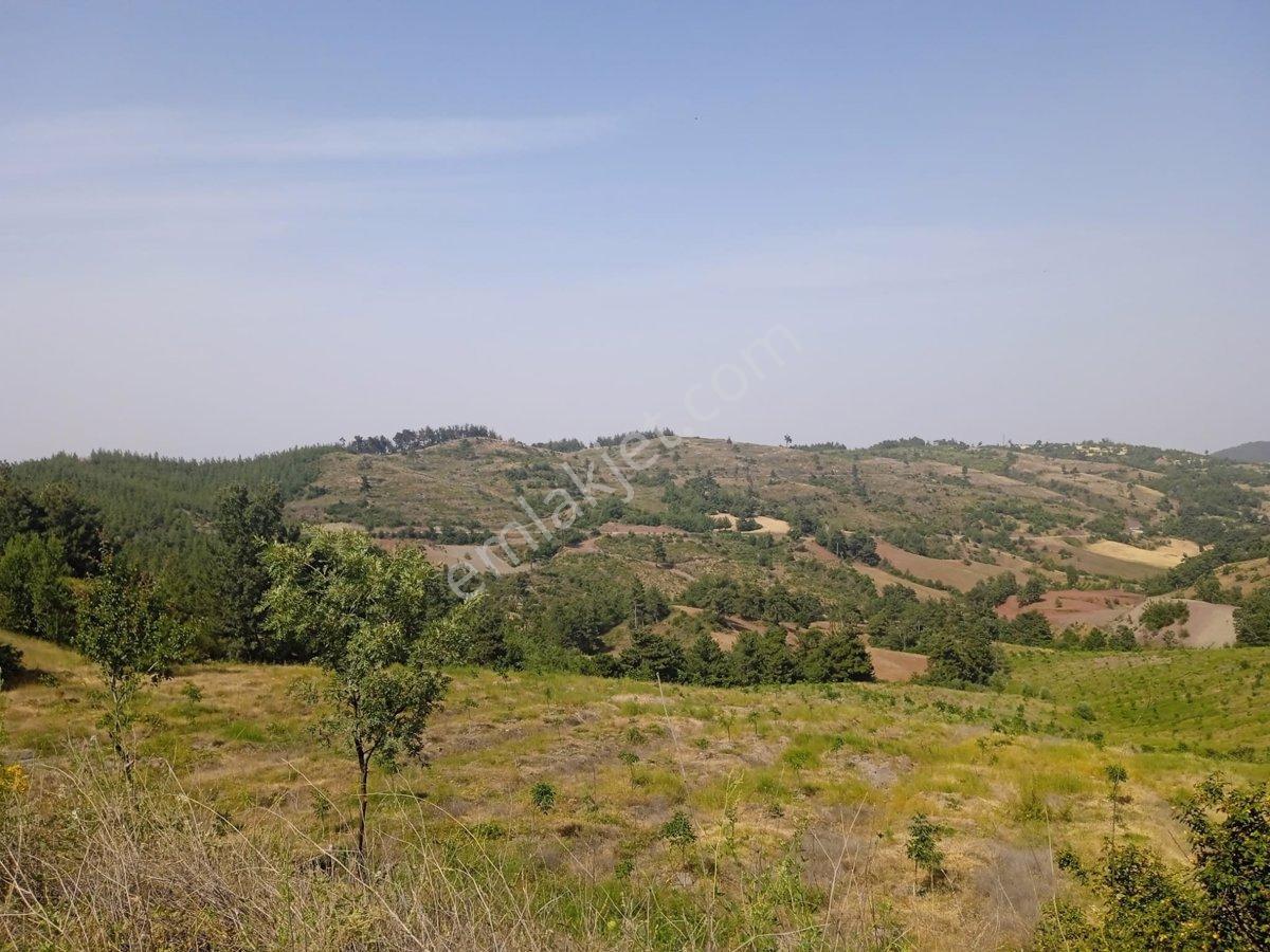 Manisa Ahmetli Bahçecik Mahallesi’nde Satılık 85.600 M2 Tarla - Görsel 23