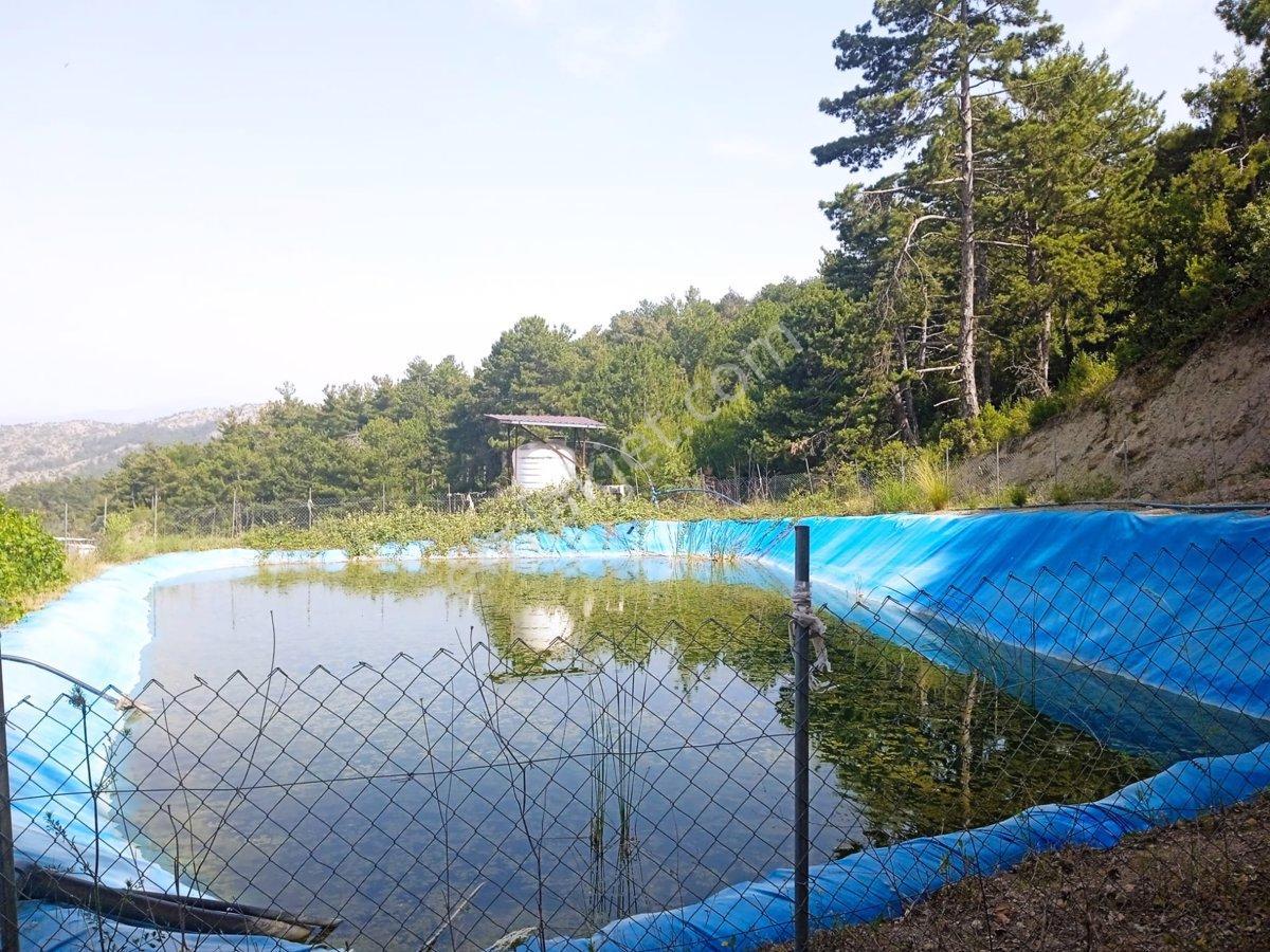 Manisa Ahmetli Bahçecik Mahallesi’nde Satılık 85.600 M2 Tarla - Görsel 4
