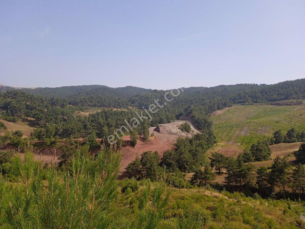 Manisa Ahmetli Bahçecik Mahallesi’nde Satılık 85.600 M2 Tarla - Görsel 24