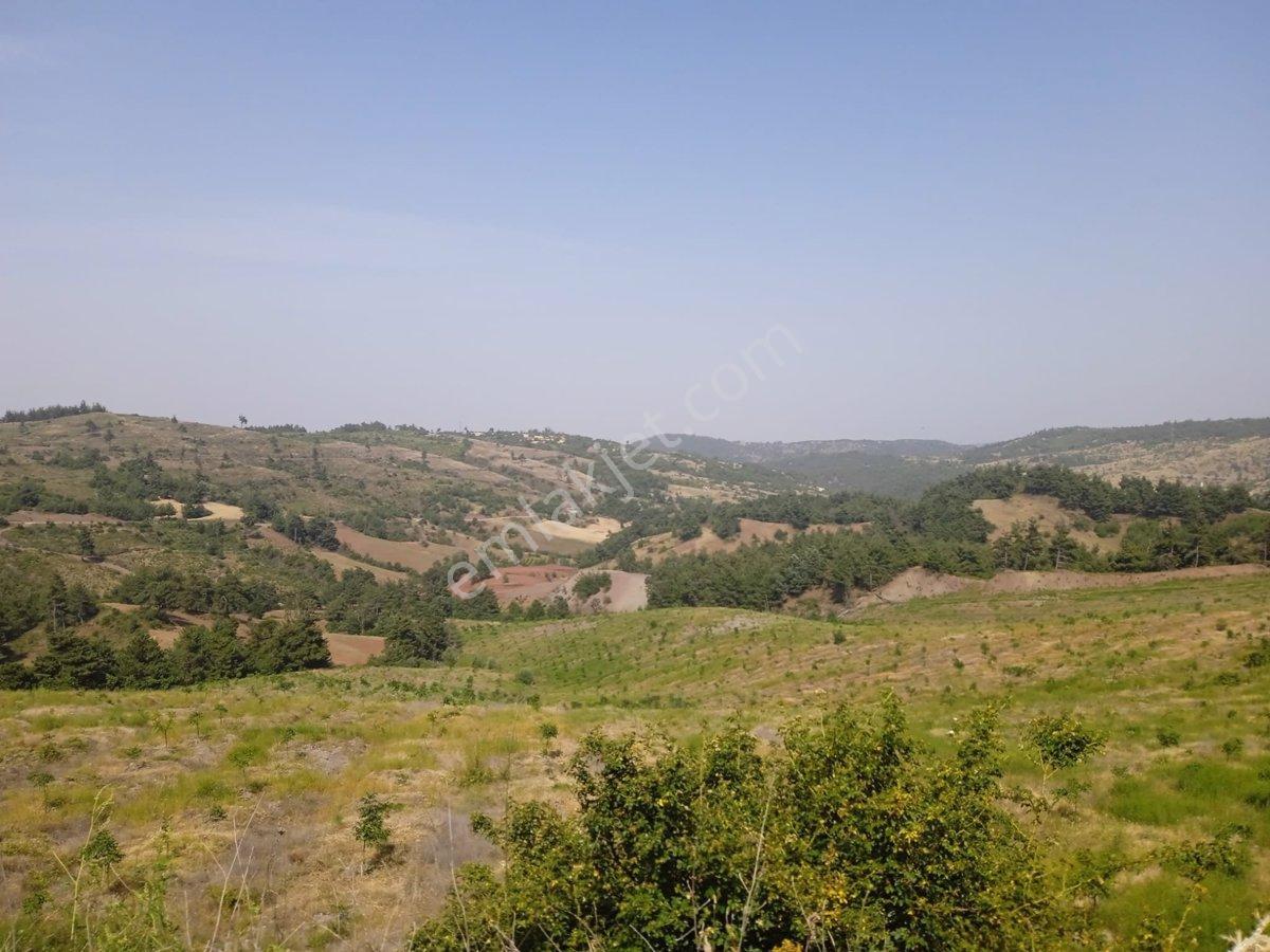 Manisa Ahmetli Bahçecik Mahallesi’nde Satılık 85.600 M2 Tarla - Görsel 10