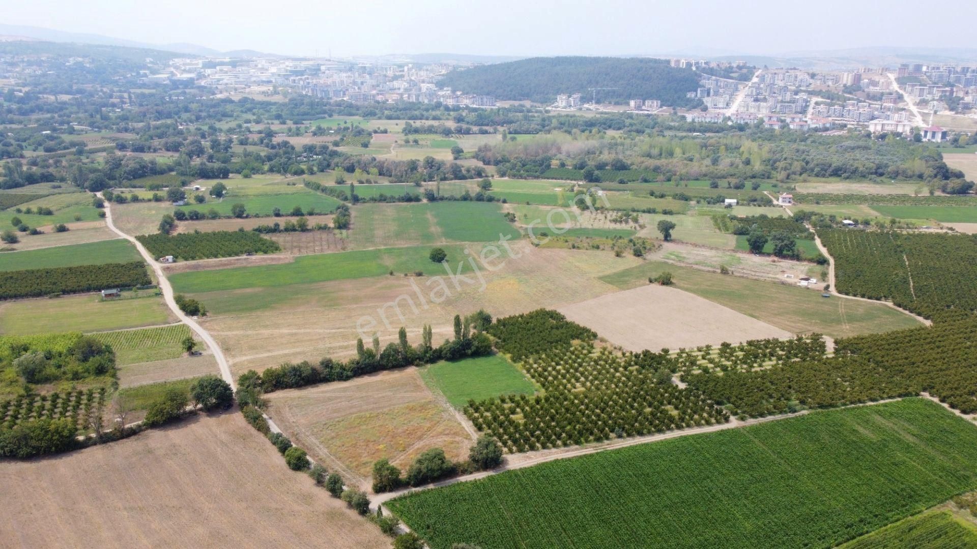 Akbey Emlak'tan Yolu , Sulama Suyu Bulunan Harika Konumda Arazi - Görsel 2